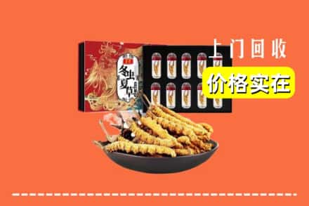 衡阳常宁市回收冬虫夏草